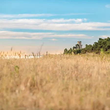 Marine B09 Silvi * Silvi Marina